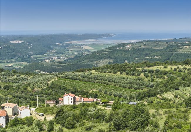 Villa in Merišce - Residence Monte near Umag for 8+2 people with heated infinity pool, spa & play room Villa in Merišce - Residence Monte near Umag for 8+2 people with heated infinity pool, spa & play room