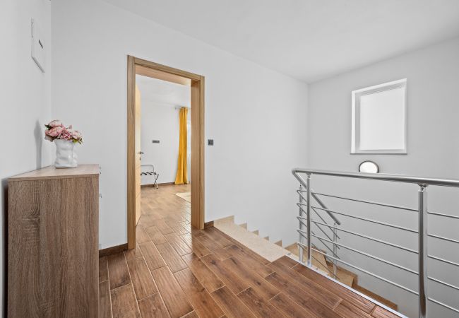 Villa in Kožljani - Villa Camelie near Barban for 10 people with playground for children, fitness & pet friendly Villa in Kožljani - Villa Camelie near Barban for 10 people with playground for children, fitness & pet friendly
