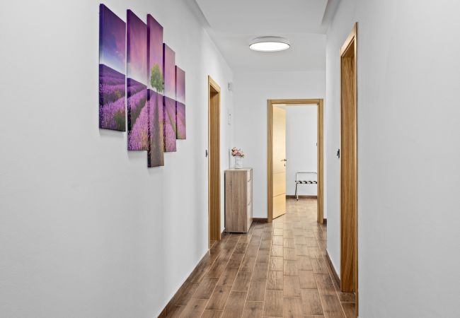 Villa in Kožljani - Villa Camelie near Barban for 10 people with playground for children, fitness & pet friendly Villa in Kožljani - Villa Camelie near Barban for 10 people with playground for children, fitness & pet friendly