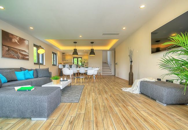 Villa in Višnjan - Villa Onyx for 12 people near Poreč with 65 m2 private pool and jacuzzi Villa in Višnjan - Villa Onyx for 12 people near Poreč with 65 m2 private pool and jacuzzi