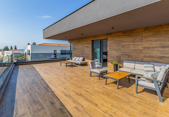 Villa in Fažana - Villa Palatium III in Fažana for 8 people only 200 meters from the sea with sauna & indoor-outside heated pool Villa in Fažana - Villa Palatium III in Fažana for 8 people only 200 meters from the sea with sauna & indoor-outside heated pool