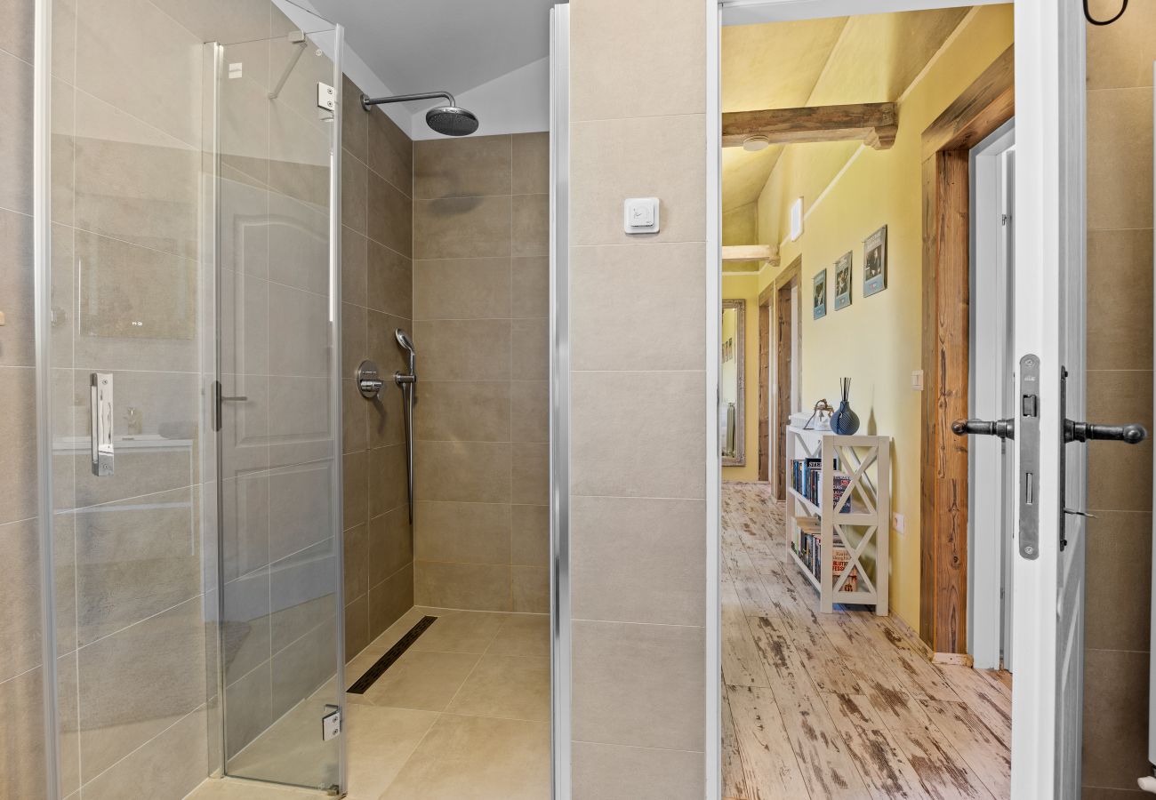 Villa in Kontešici - Villa Emely for 8 people near Poreč with heated pool & jacuzzi