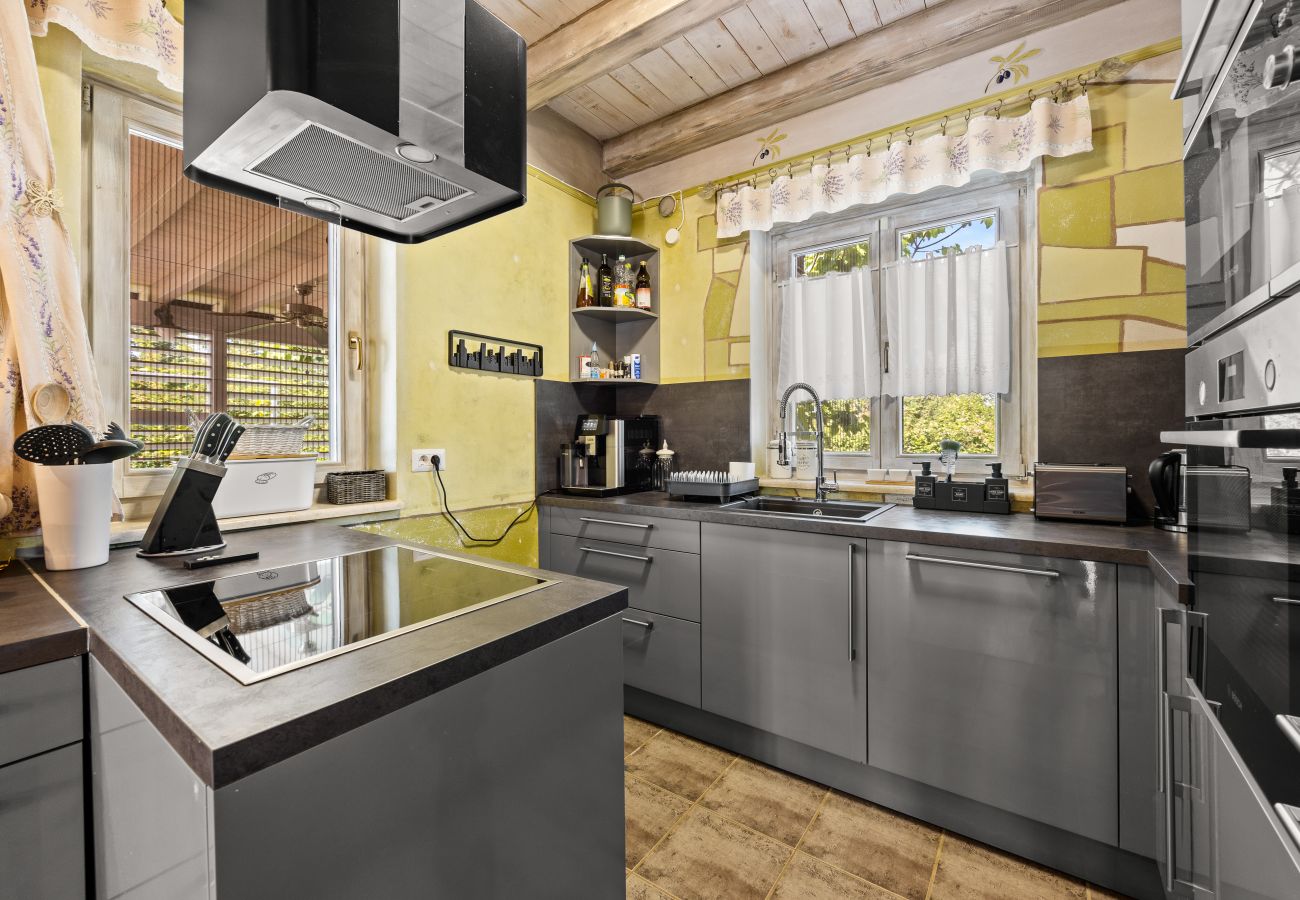 Villa in Kontešici - Villa Emely for 8 people near Poreč with heated pool & jacuzzi
