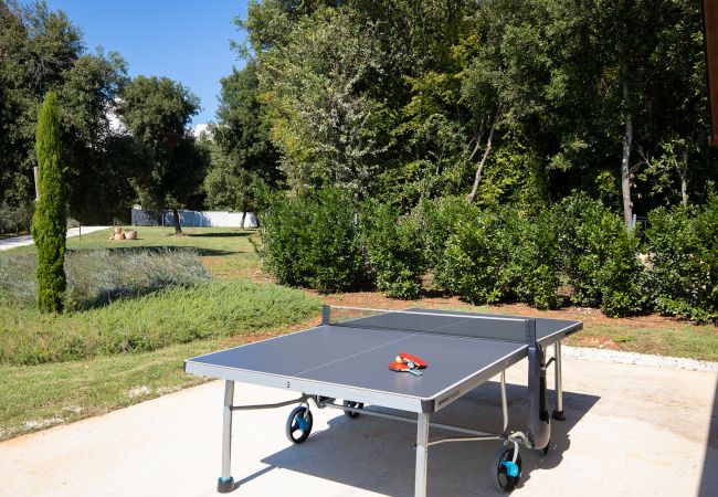 Villa in Šišan - Casa Ginetto near Pula with 45 m2 and extra kids pool, wellness area and game & grill lounge Villa in Šišan - Casa Ginetto near Pula with 45 m2 and extra kids pool, wellness area and game & grill lounge