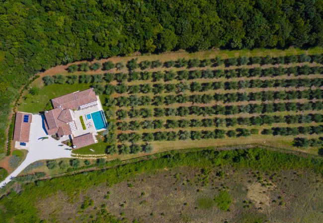 Villa in Šišan - Casa Ginetto near Pula with 45 m2 and extra kids pool, wellness area and game & grill lounge Villa in Šišan - Casa Ginetto near Pula with 45 m2 and extra kids pool, wellness area and game & grill lounge
