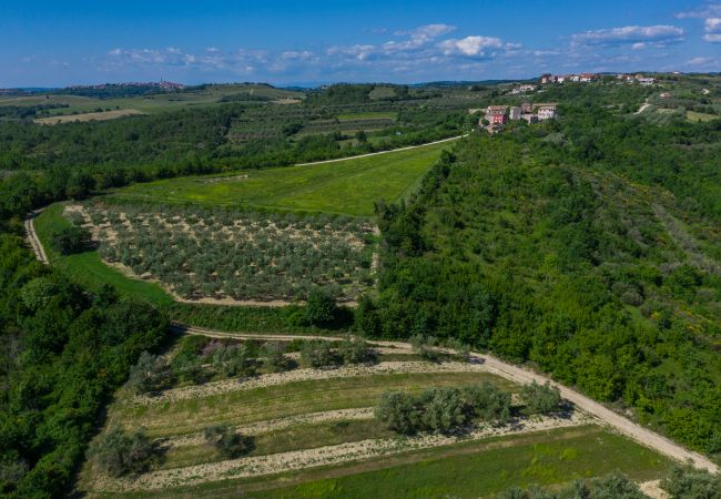 Villa in Krasica - Villa Skarline for 6 people near Umag with salt-water private pool & sea view Villa in Krasica - Villa Skarline for 6 people near Umag with salt-water private pool & sea view