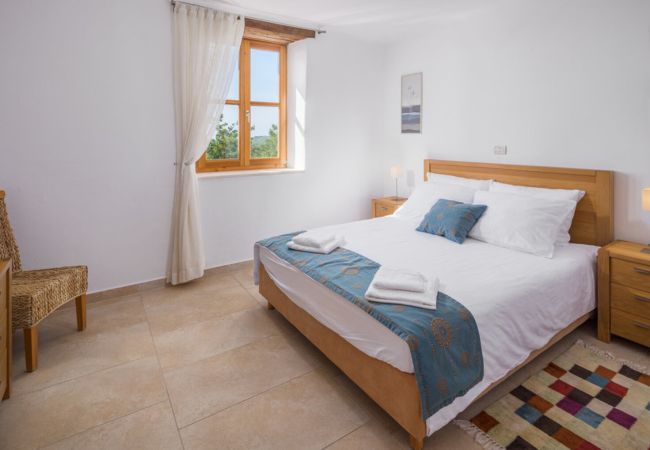 Villa in Baredine - Villa Morgan for 8 people in Central Istria with 45 m2 heated pool & pet friendly Villa in Baredine - Villa Morgan for 8 people in Central Istria with 45 m2 heated pool & pet friendly