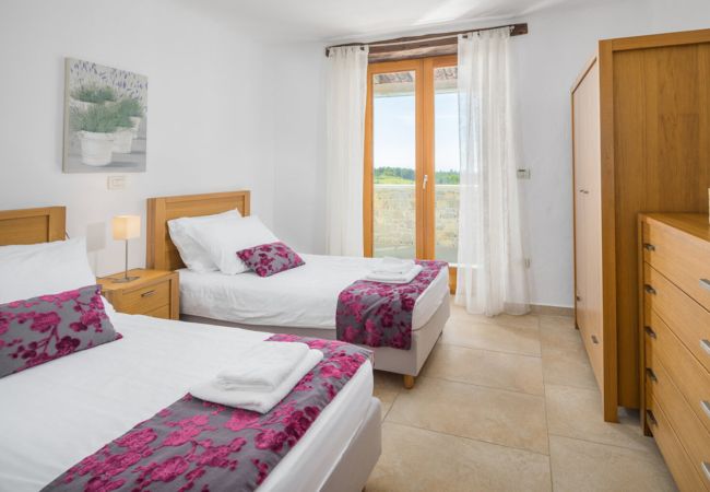 Villa in Baredine - Villa Morgan for 8 people in Central Istria with 45 m2 heated pool & pet friendly Villa in Baredine - Villa Morgan for 8 people in Central Istria with 45 m2 heated pool & pet friendly