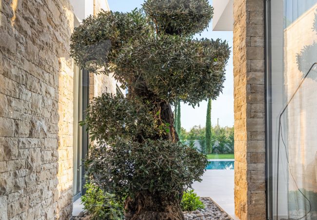 Villa in Anžici - Villa Asmoa for 8 people near Poreč with 45 m2 heated pool, wellness & sea view Villa in Anžici - Villa Asmoa for 8 people near Poreč with 45 m2 heated pool, wellness & sea view