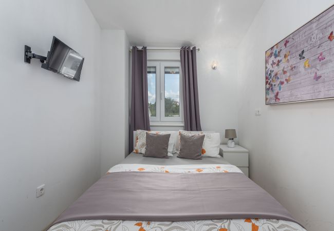 Villa in Dracevac - Villa Anita for 7 people near Poreč with private pool and beautiful garden Villa in Dracevac - Villa Anita for 7 people near Poreč with private pool and beautiful garden