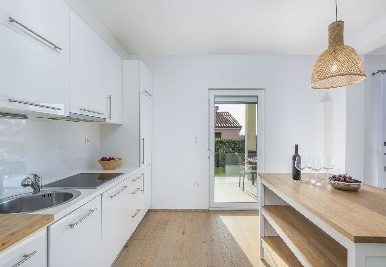 Villa in Dracevac - Villa Anita for 7 people near Poreč with private pool and beautiful garden