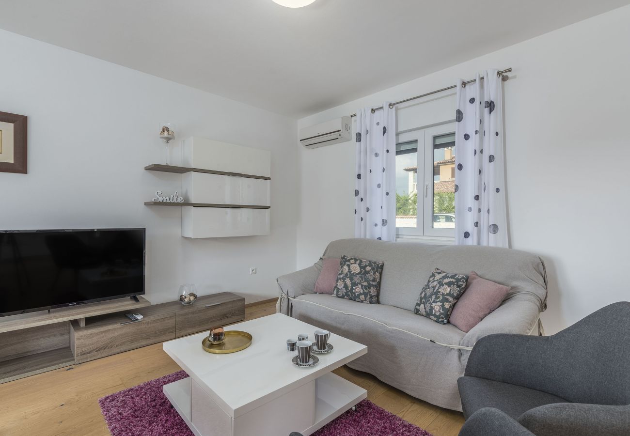 Villa in Dracevac - Villa Anita for 7 people near Poreč with private pool and beautiful garden