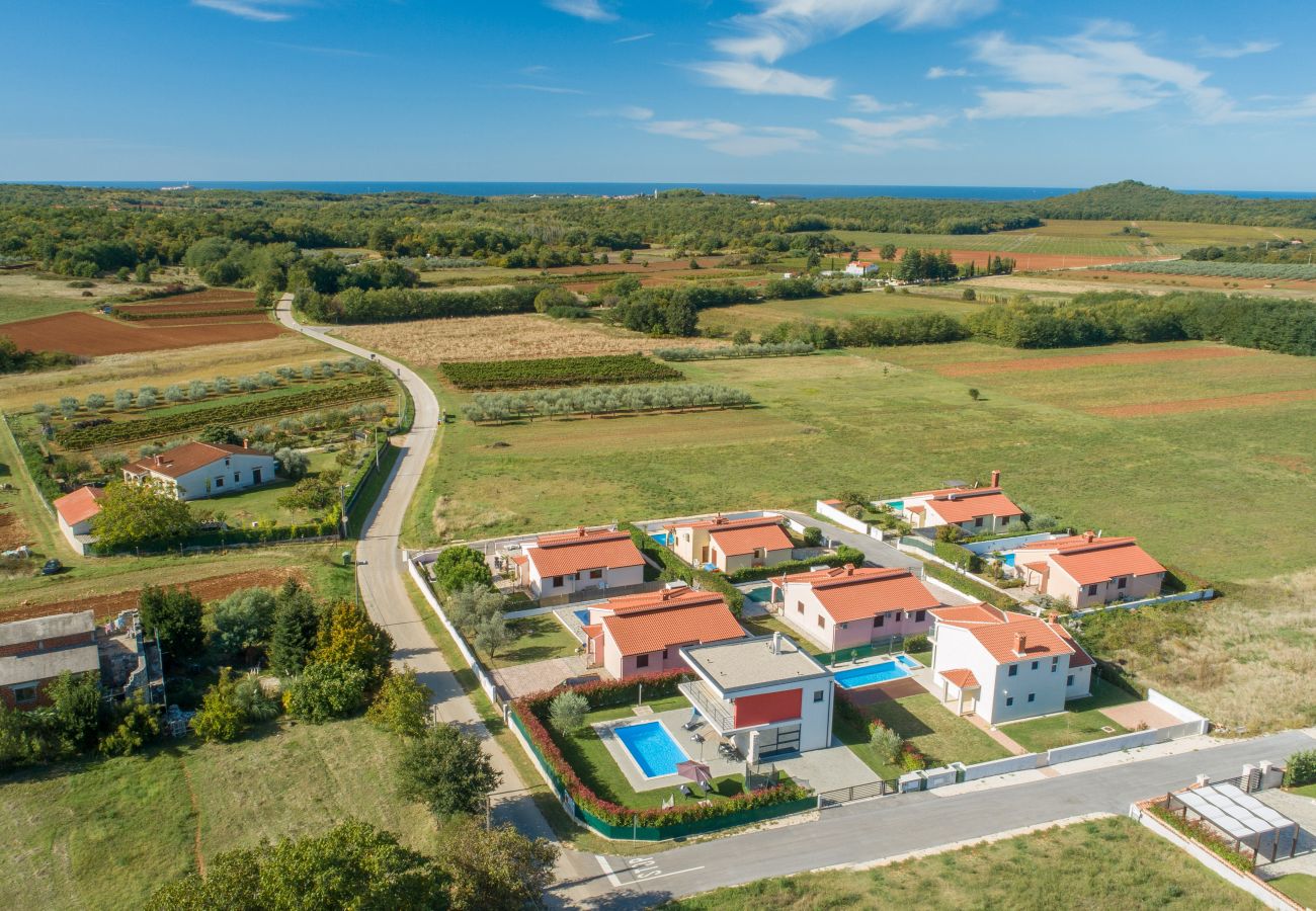 Villa in Dracevac - Villa Anita for 7 people near Poreč with private pool and beautiful garden