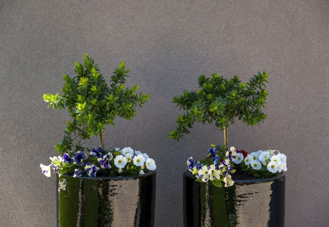 Villa in Presika - Villa Veros for 5 people near Labin - Rabac with private pool & kids playground Villa in Presika - Villa Veros for 5 people near Labin - Rabac with private pool & kids playground