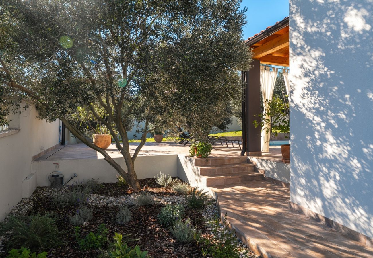 Villa in Pula - Casa Canziana for 6 people with private pool in Pula