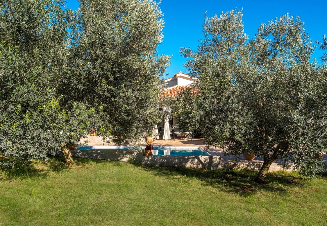 Villa in Pula - Casa Canziana for 6 people with private pool in Pula