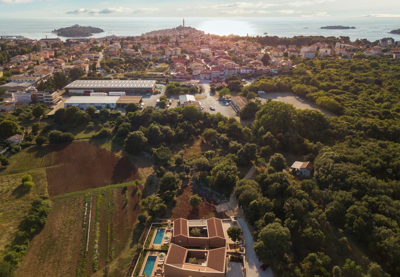 Villa in Rovinj - Casa Nini for 6 people in Rovinj with private pool