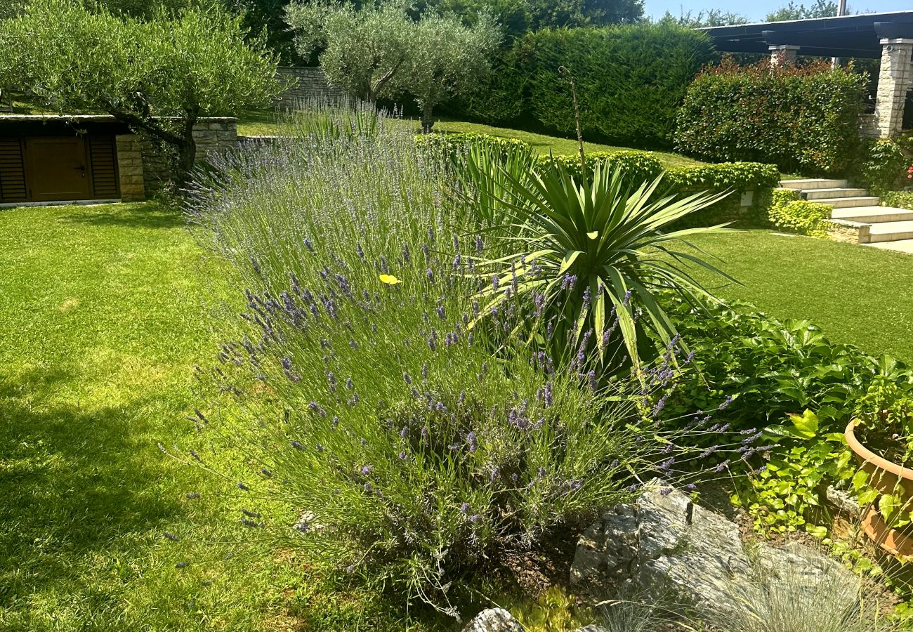 Villa in Banki - Villa ARtIEN for 8 people with 32m2 private pool & pet friendly