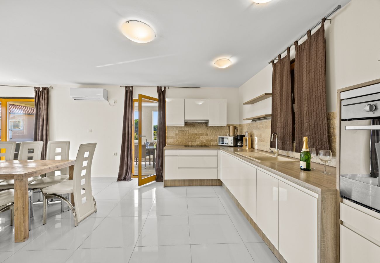 Villa in Fažana - Villa Palatium for 14 people in Fažana with sauna & jacuzzi only 800 meters from the beach Villa in Fažana - Villa Palatium for 14 people in Fažana with sauna & jacuzzi only 800 meters from the beach