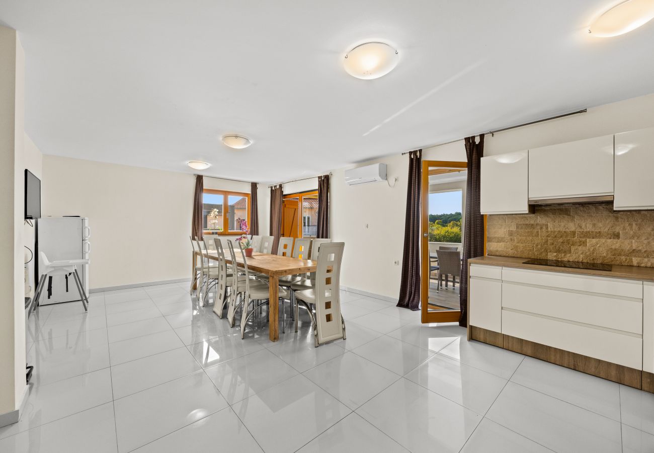 Villa in Fažana - Villa Palatium for 14 people in Fažana with sauna & jacuzzi only 800 meters from the beach Villa in Fažana - Villa Palatium for 14 people in Fažana with sauna & jacuzzi only 800 meters from the beach