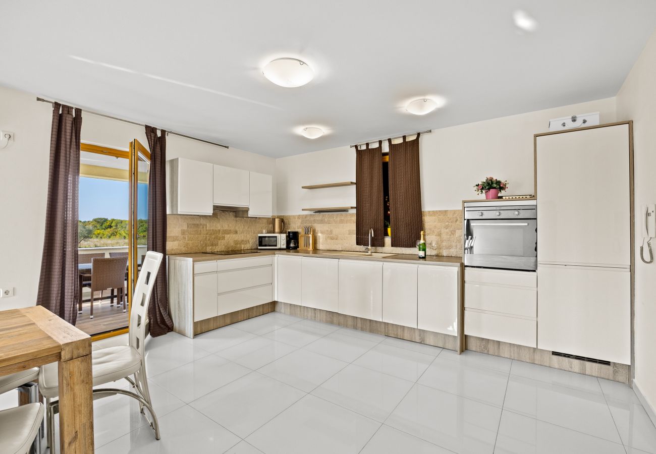 Villa in Fažana - Villa Palatium for 14 people in Fažana with sauna & jacuzzi only 800 meters from the beach Villa in Fažana - Villa Palatium for 14 people in Fažana with sauna & jacuzzi only 800 meters from the beach