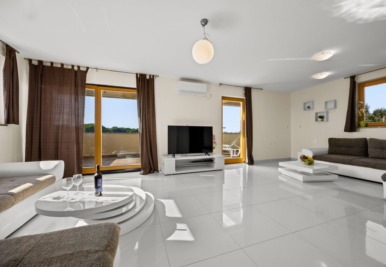 Villa in Fažana - Villa Palatium for 14 people in Fažana with sauna & jacuzzi only 800 meters from the beach Villa in Fažana - Villa Palatium for 14 people in Fažana with sauna & jacuzzi only 800 meters from the beach