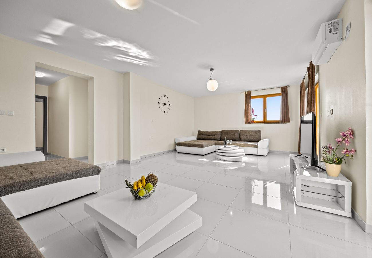 Villa in Fažana - Villa Palatium for 14 people in Fažana with sauna & jacuzzi only 800 meters from the beach Villa in Fažana - Villa Palatium for 14 people in Fažana with sauna & jacuzzi only 800 meters from the beach