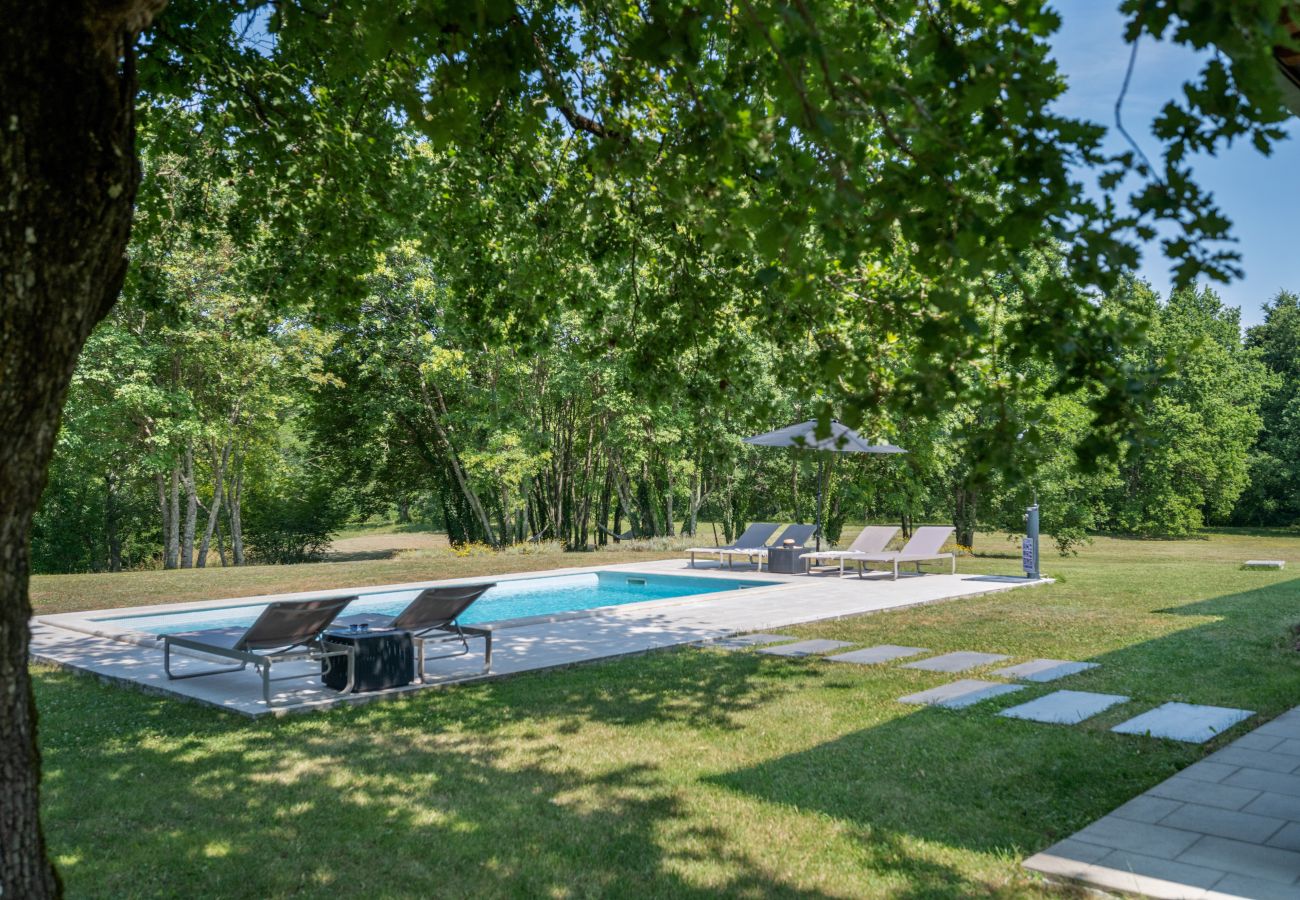 Villa in Kraj Drage - Villa Aria Labin for 6 persons with private 32 m2 pool, kids playground and large garden 
