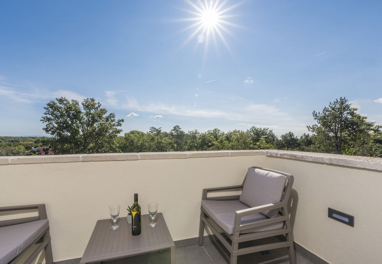 Villa in Mali Golji - Villa Aurelia near Labin for 9 persons with heated 60 m2 pool, wellness & kids playground