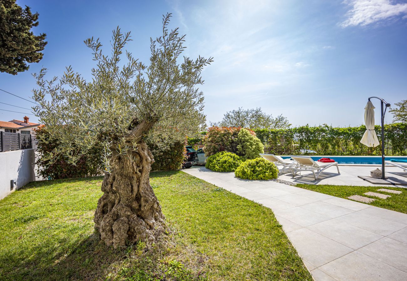 Villa in Jadreški - Villa Tramontana near Pula for 6 persons with 30m2 private pool 