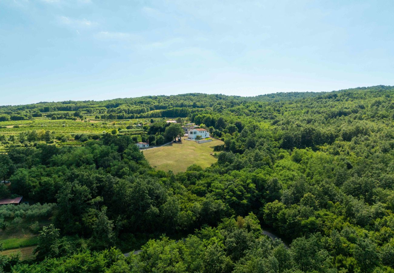 Villa in Sveta Katarina - Villa Nene near Labin - Rabac for 10 persons with 55 m2 pool, wellness area & large garden