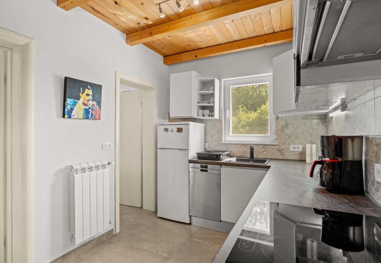 Villa in Nova Vas - Villa Jacky 2 near Poreč for 4 persons with 32 m2 private pool - pet friendly