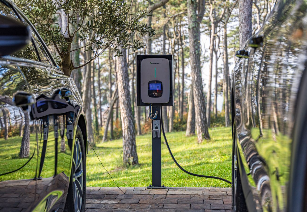 Вилла на Nedešcina - Villa Valpinia for 8 people in Labin - Rabac with 40 m2 heated pool, indoor jacuzzi & sauna