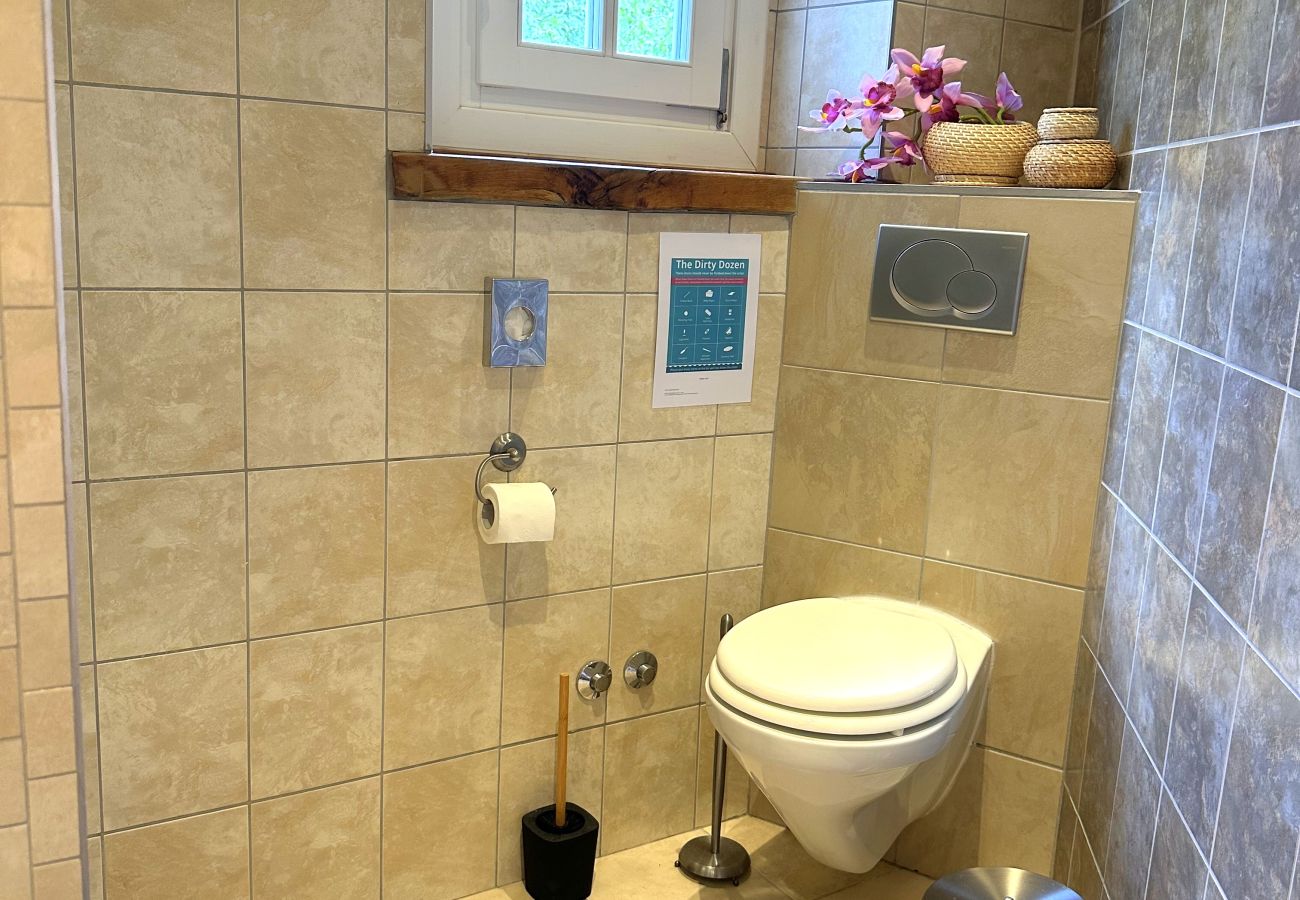 Вилла на Baderna - Villa Experience for 6 people with private heated pool & pet friendly